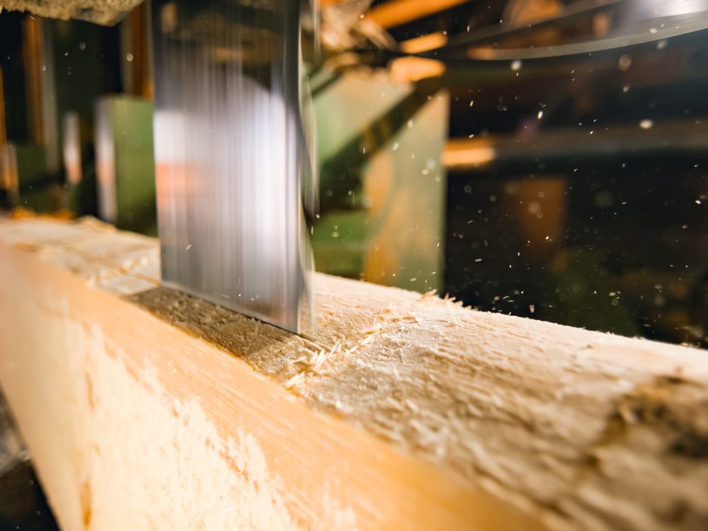 Saw cutting a log Understanding Wood Cuts